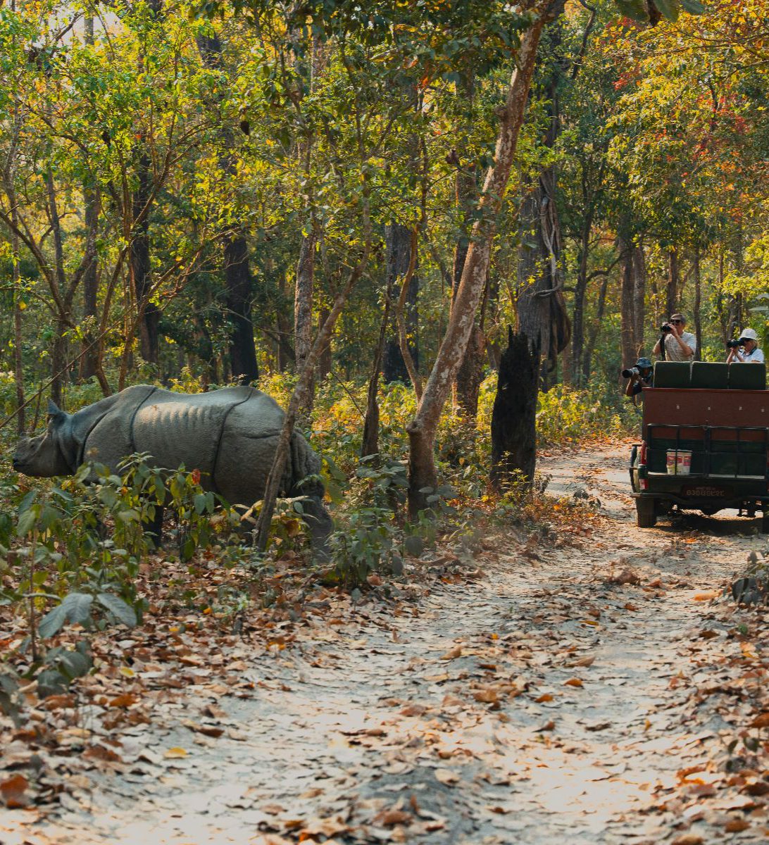 Rondreis Nepal, Chitwan National Park, Chitwan National Park, jungle jeep safari