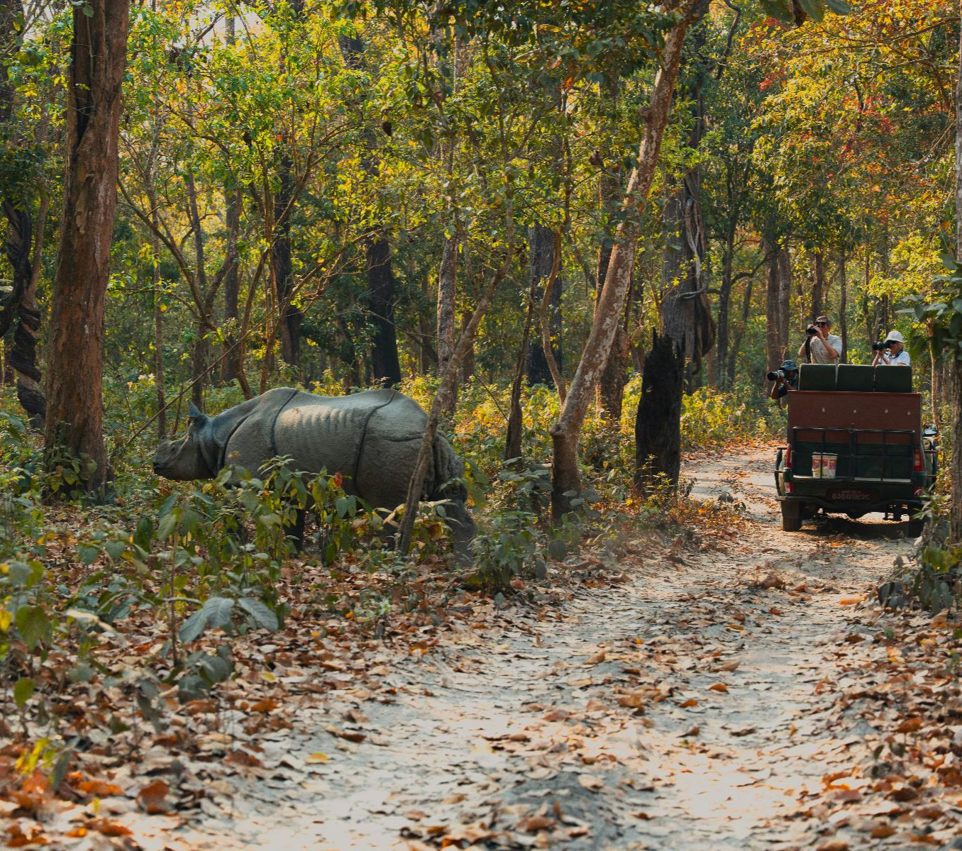 Rondreis Nepal, Chitwan National Park, Chitwan National Park, jungle jeep safari