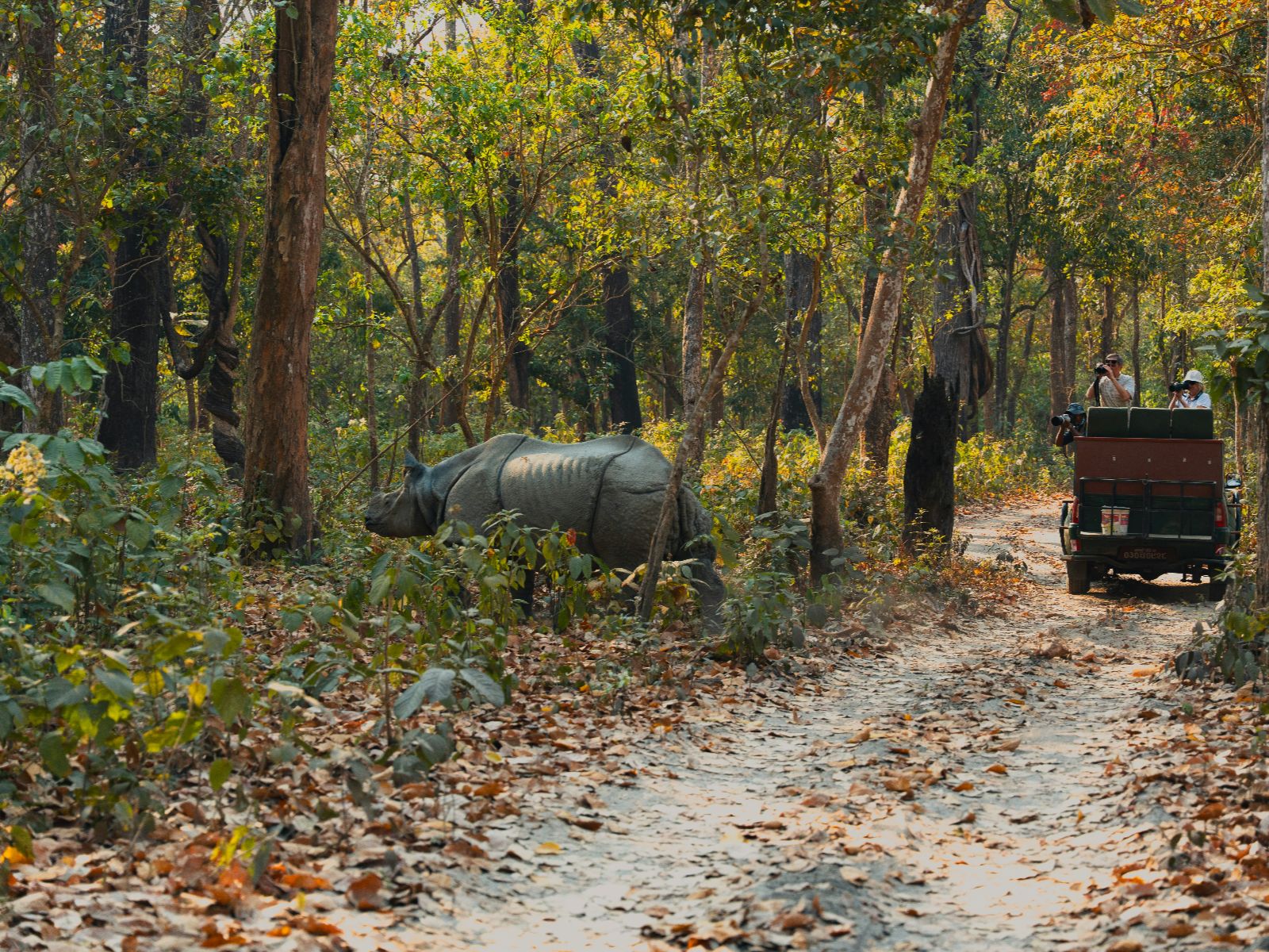 Rondreis Nepal, Chitwan National Park, Chitwan National Park, jungle jeep safari