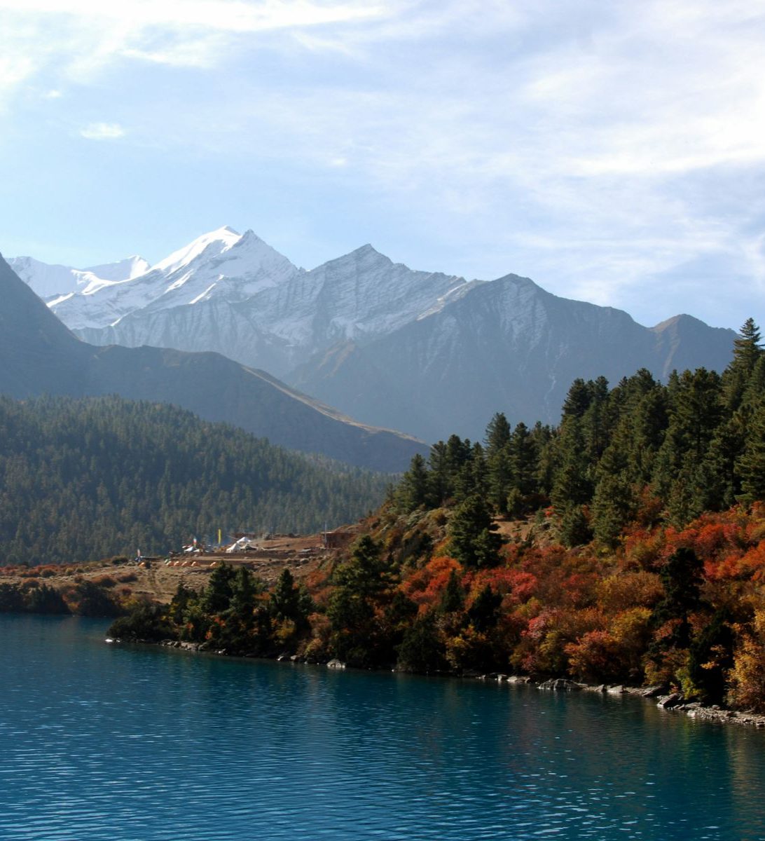 Rondreis Nepal, Dolpo Regio, Phoksundo Lake bomen met rode bladeren en de bergen op de achtergrond