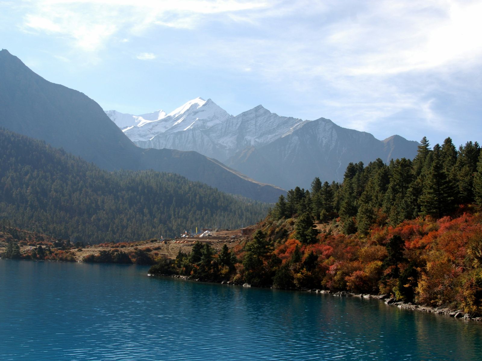 Rondreis Nepal, Dolpo Regio, Phoksundo Lake bomen met rode bladeren en de bergen op de achtergrond