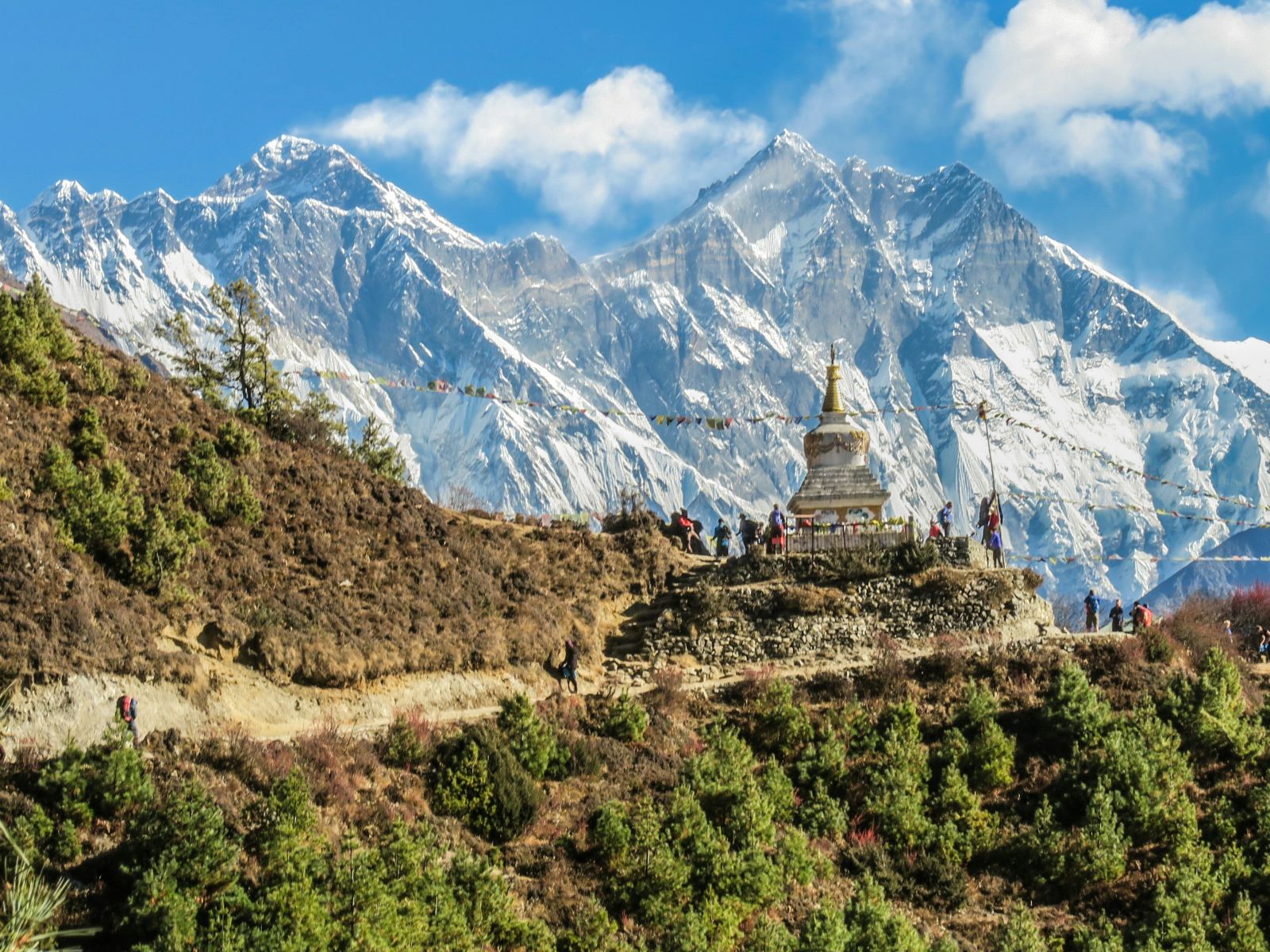 Rondreis Nepal, Evert Regio, stupa met himalaya op achtergrond