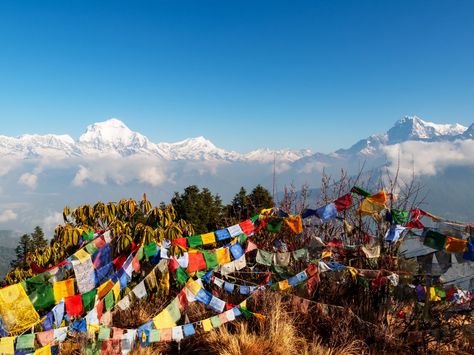Rondreis Nepal, Pokhara, Uitzicht over Annapurna, gebedsvlaggetjes