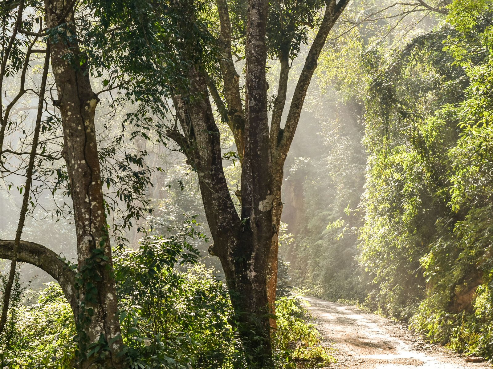 Rondreis Nepal, Tansen, Trekkingspad