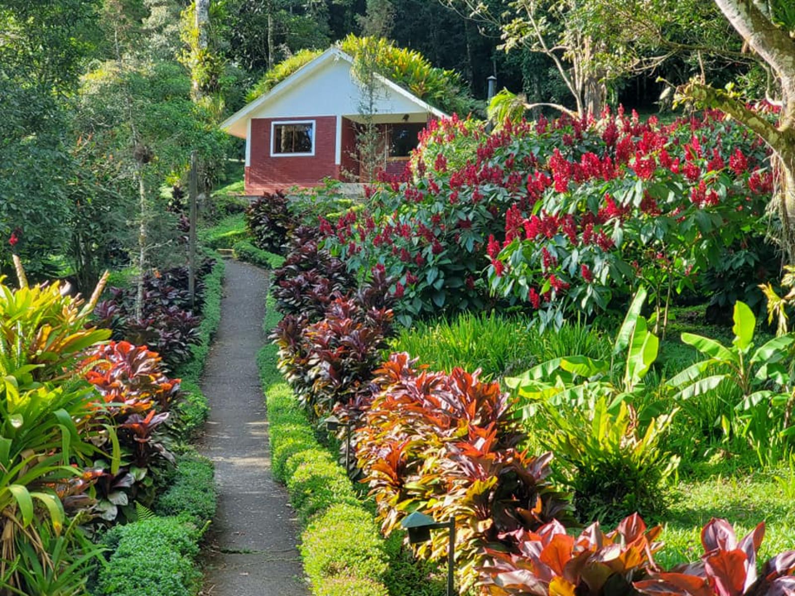 Rondreis Nicaragua, Matagalpa, Selva Negra Ecolodge, vooraanzicht lodge huisje