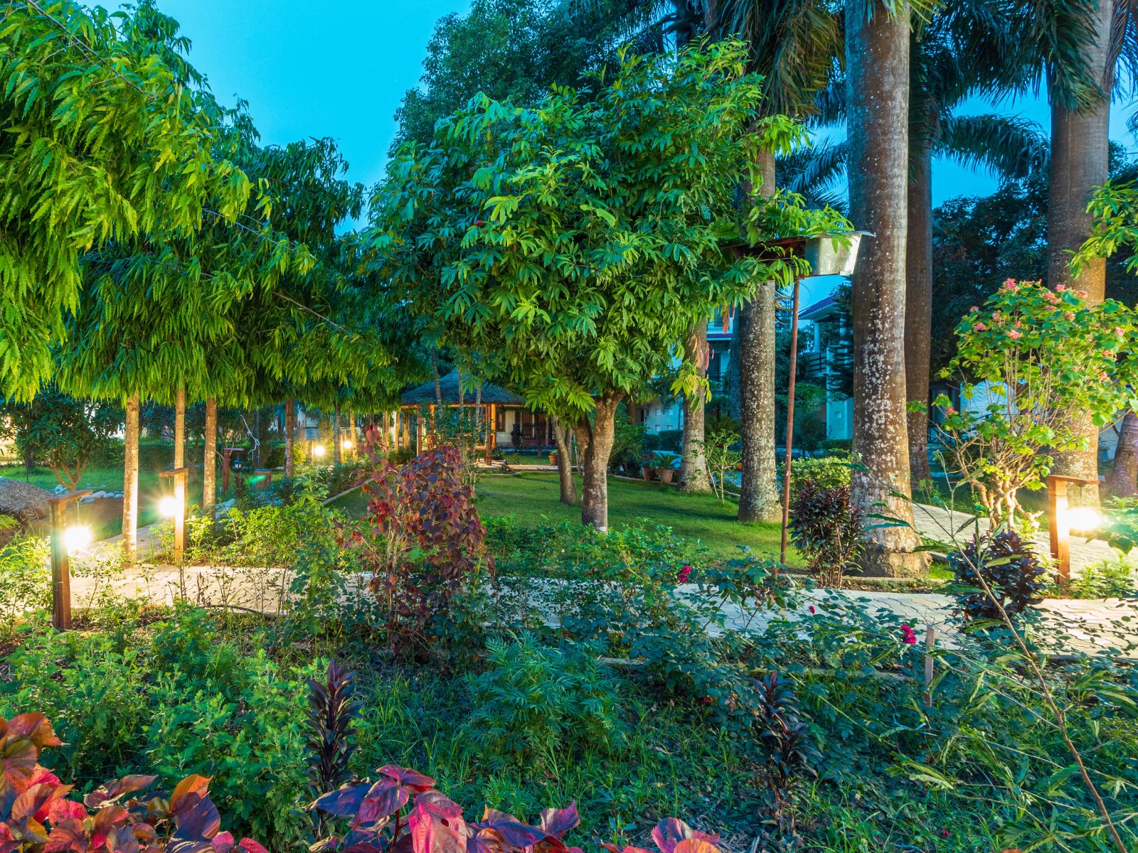rondreis nepal, chitwan nationaal park, royal tiger luxury resort, tuin in de avond