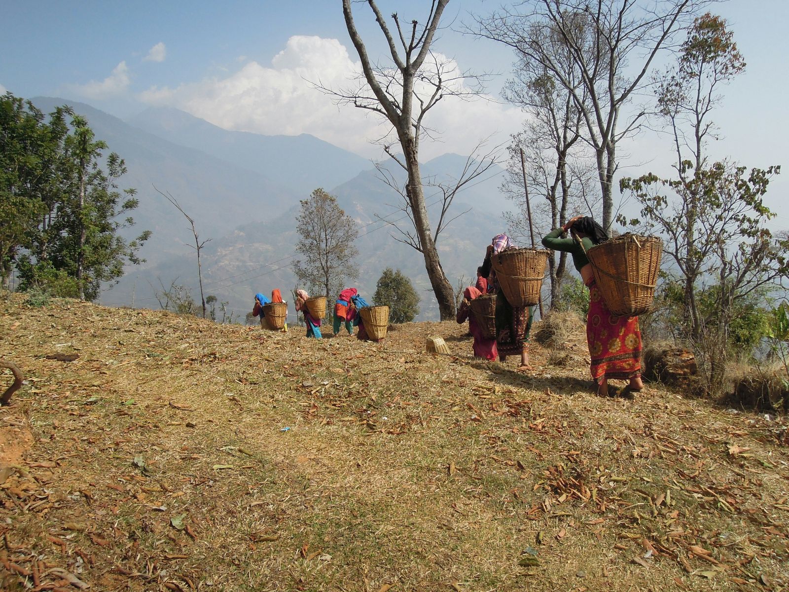 rondreis nepal, nuwakot, vrouwen met mand wandelen door de vallei