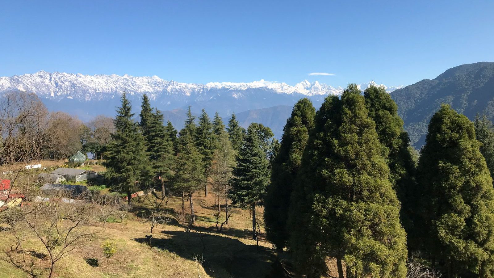 rondreis nepal, shivapuri nationaal park, bos en uitzicht Himalaya