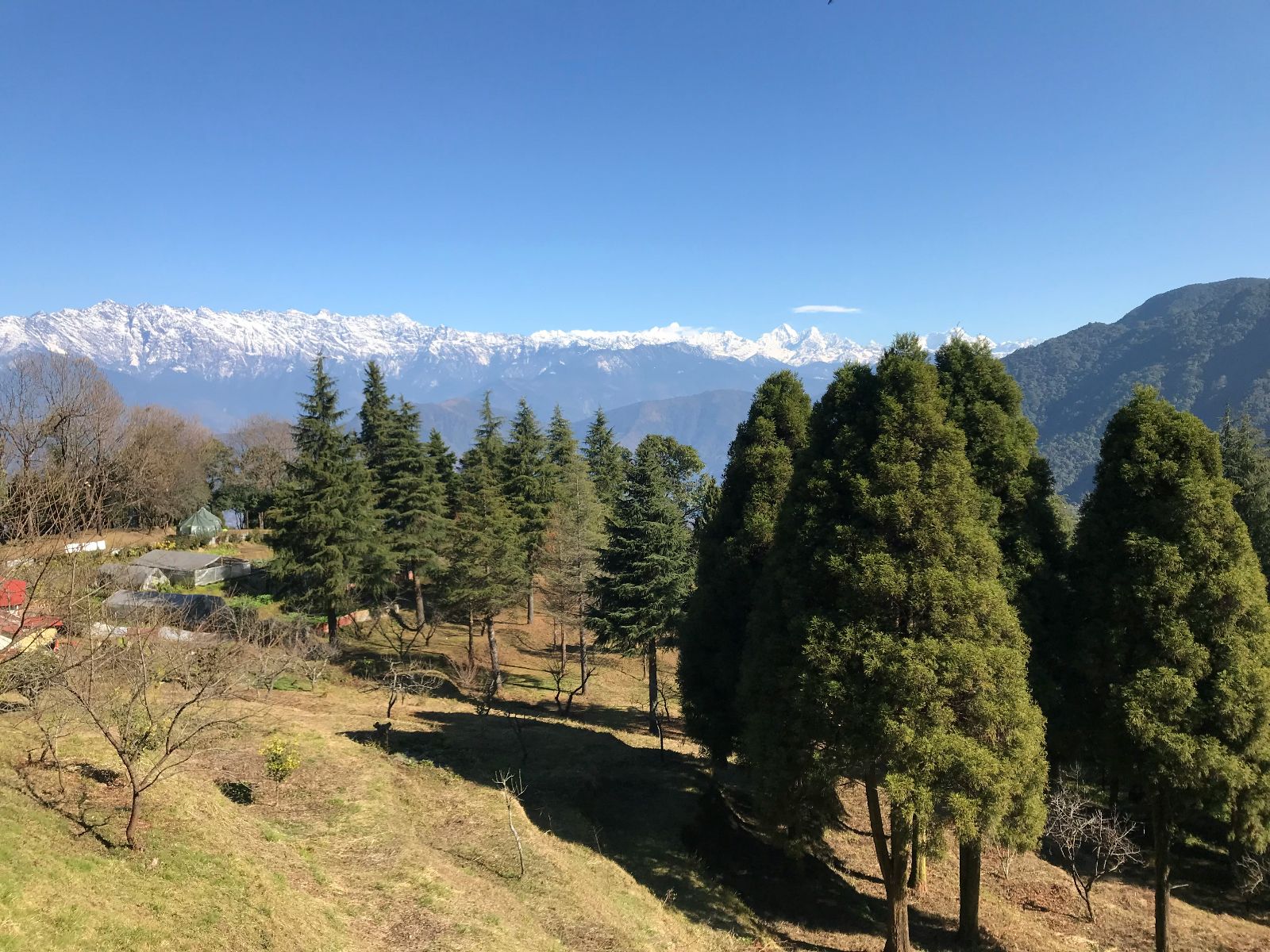 rondreis nepal, shivapuri nationaal park, bos en uitzicht Himalaya