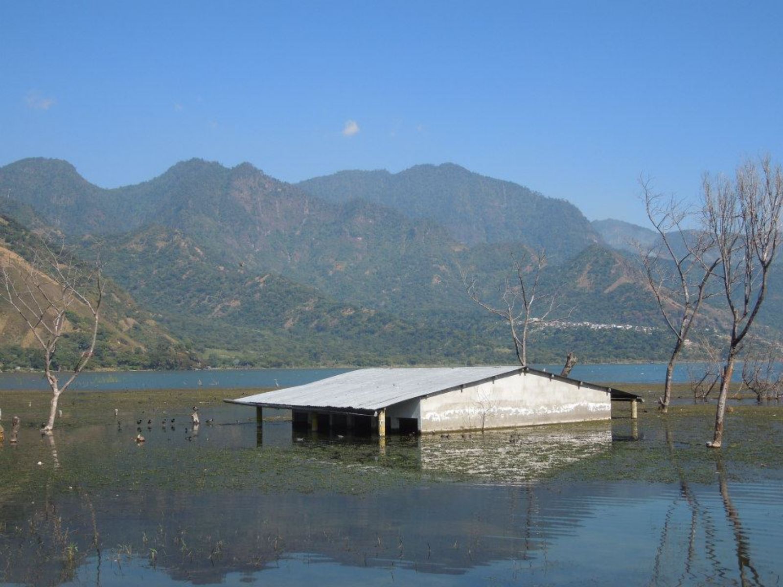 Guatemala excursie, Panajachel, excursie meer van Atitlán, meer van Atitlan
