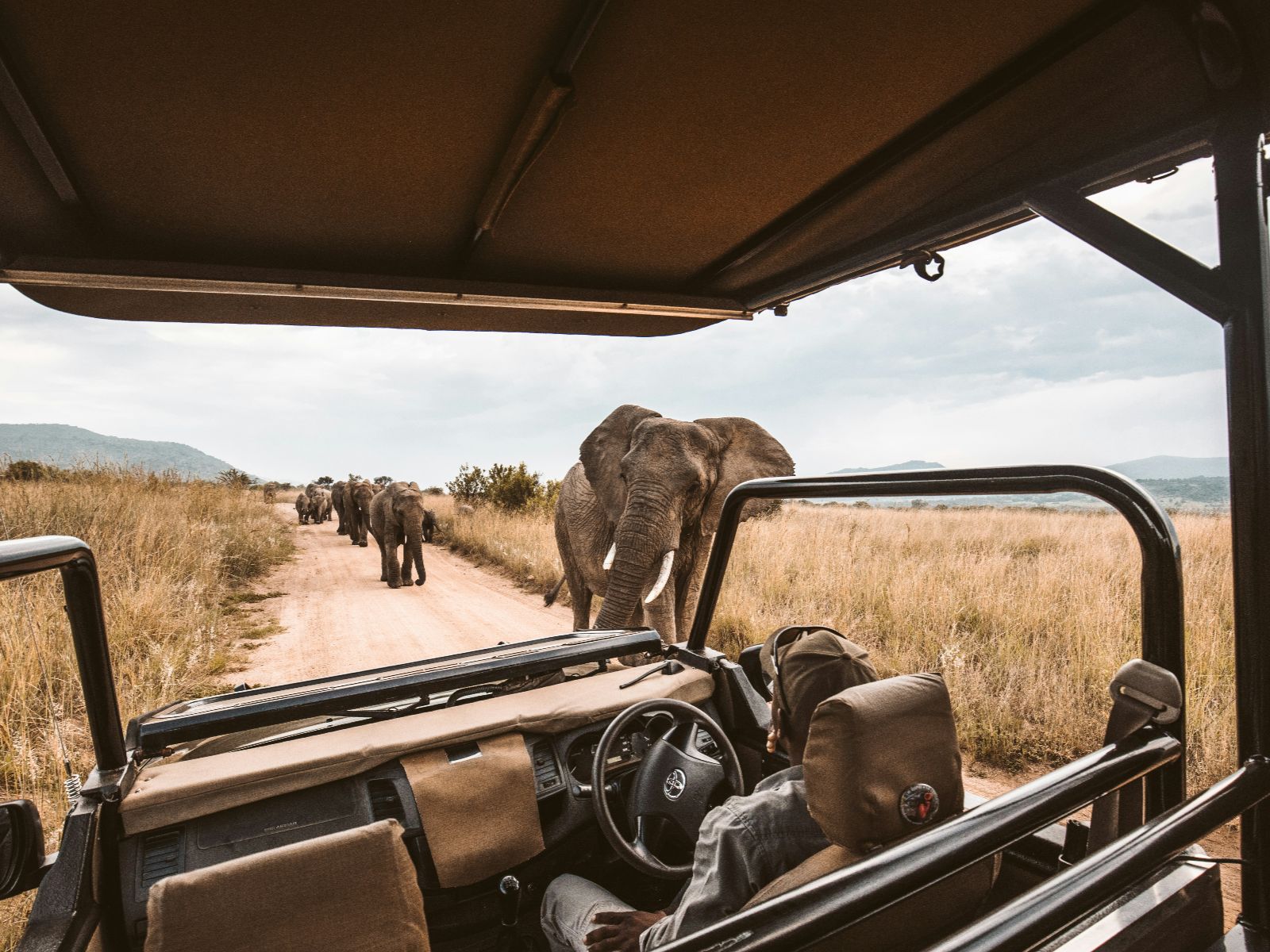Rondreis Botswana, Kasane, excursie Game Drive, kudde olifanten