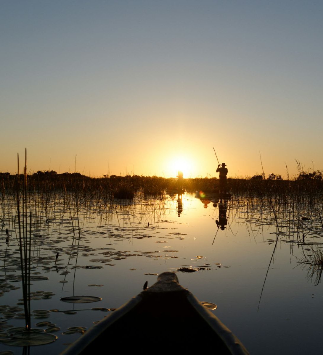 Rondreis Botswana, Maun, excursie Full Day Mokoro Tour, Bootje op de rivier met zonsondergang
