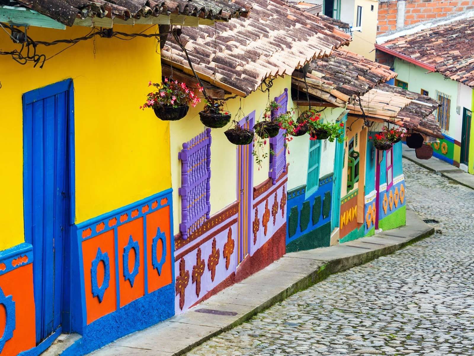 Rondreis Colombia, Bogotá, excursie Bogotá Local Style, kleurrijke straat