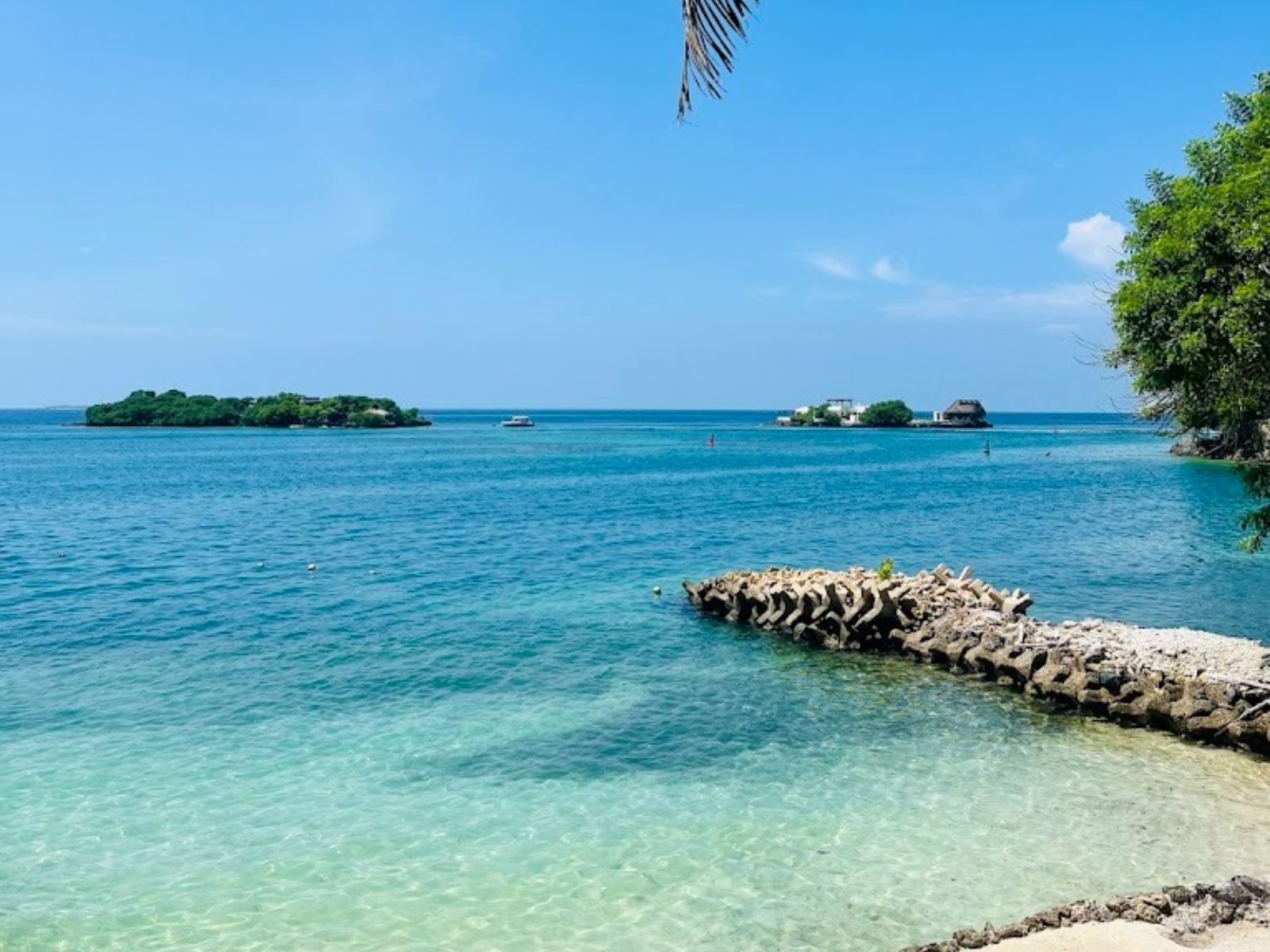 Rondreis Colombia, Cartagena, excursie dagtour naar tropisch Isla Majagua, strand met palmboom