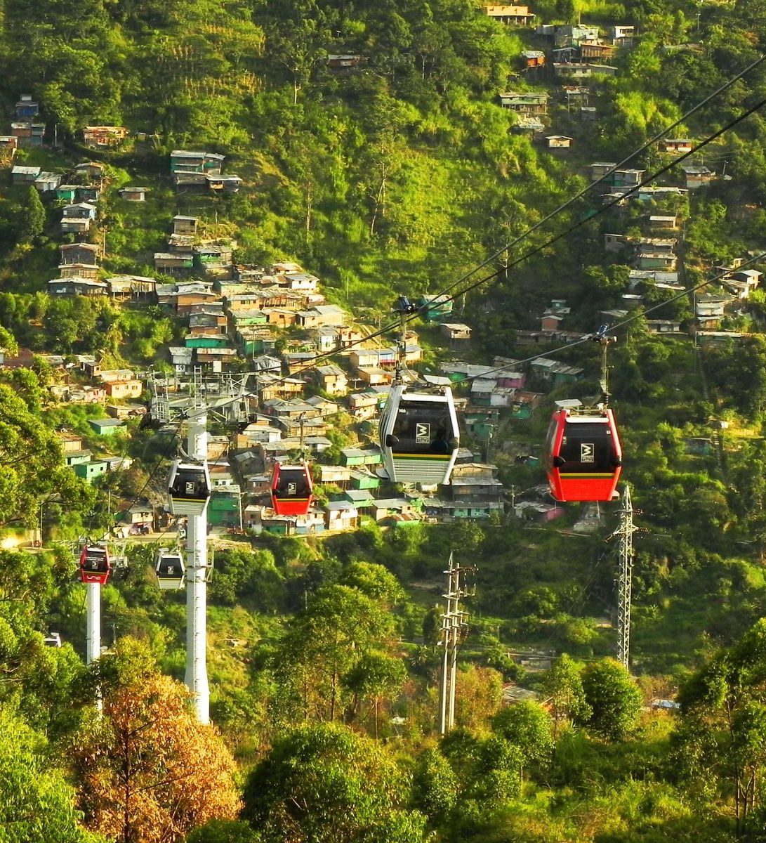 Rondreis Colombia, Medellín, excursie per kabelbaan, kabelbaan boven de bomen