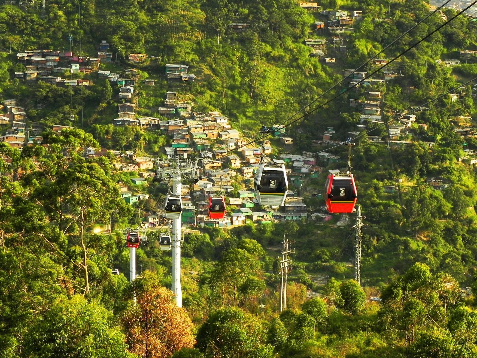 Rondreis Colombia, Medellín, excursie per kabelbaan, kabelbaan boven de bomen