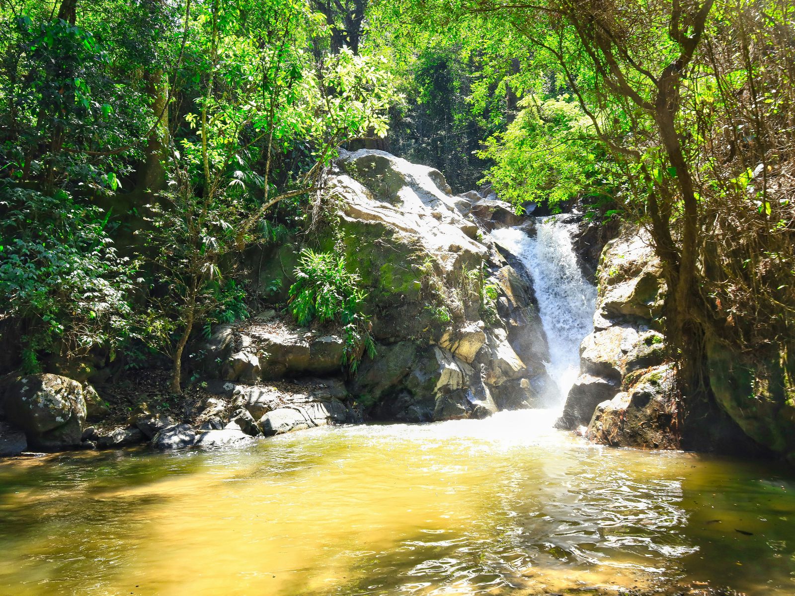 Rondreis Colombia, Minca, excursie van waterval tot cacao, waterval met lichtinval van de zon
