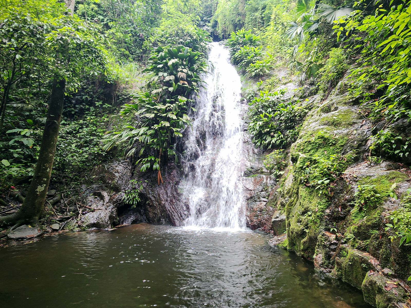 Rondreis Colombia, Minca, excursie van waterval tot cacao, waterval