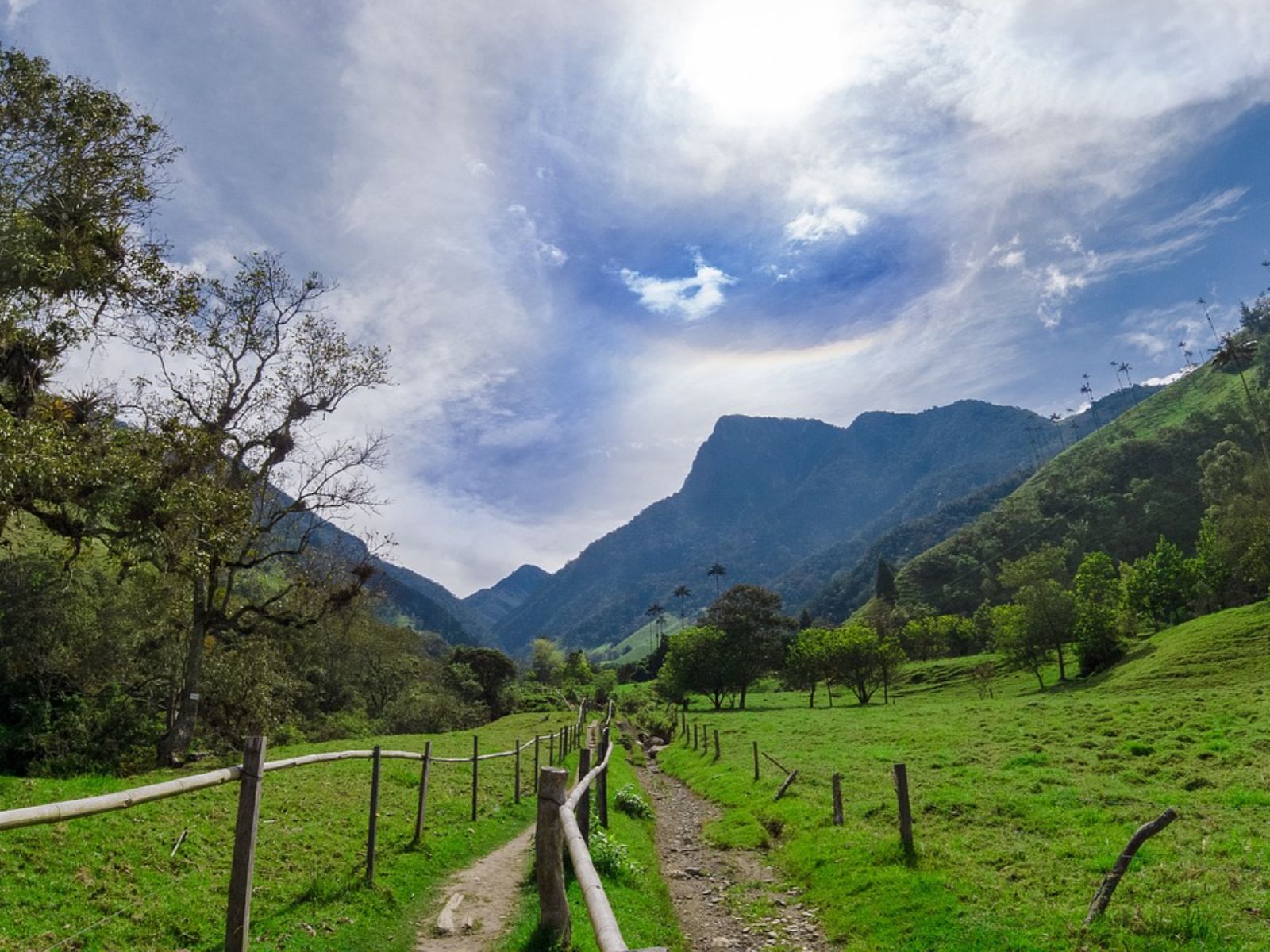 Rondreis Colombia, Salento, excursie hiken door Valle de Cocora en het Mistige Woud, wandelpad