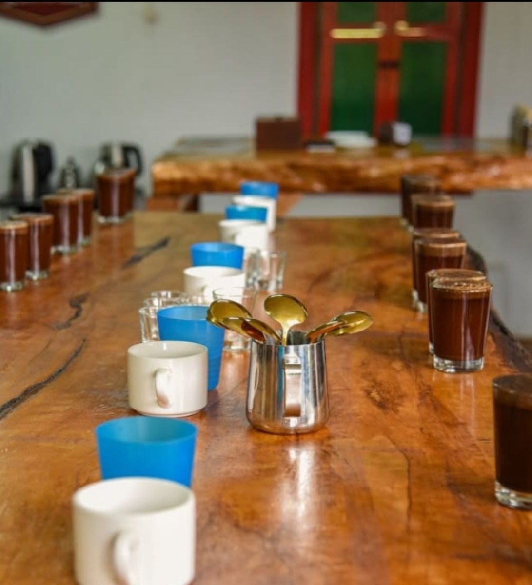 Rondreis Colombia, Salento, excursie premium koffietour, koffieworkshop