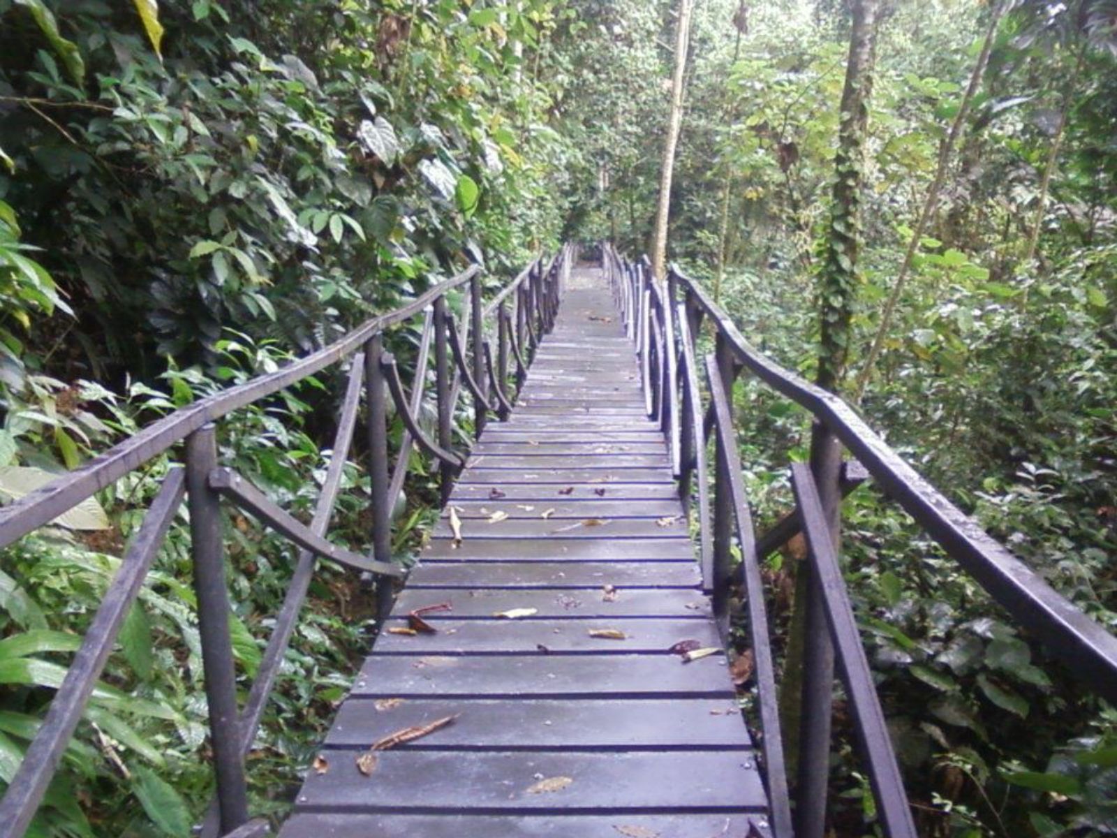 Rondreis Colombia, San Gil, excursie San Gil Pinchote, Pinchote brug
