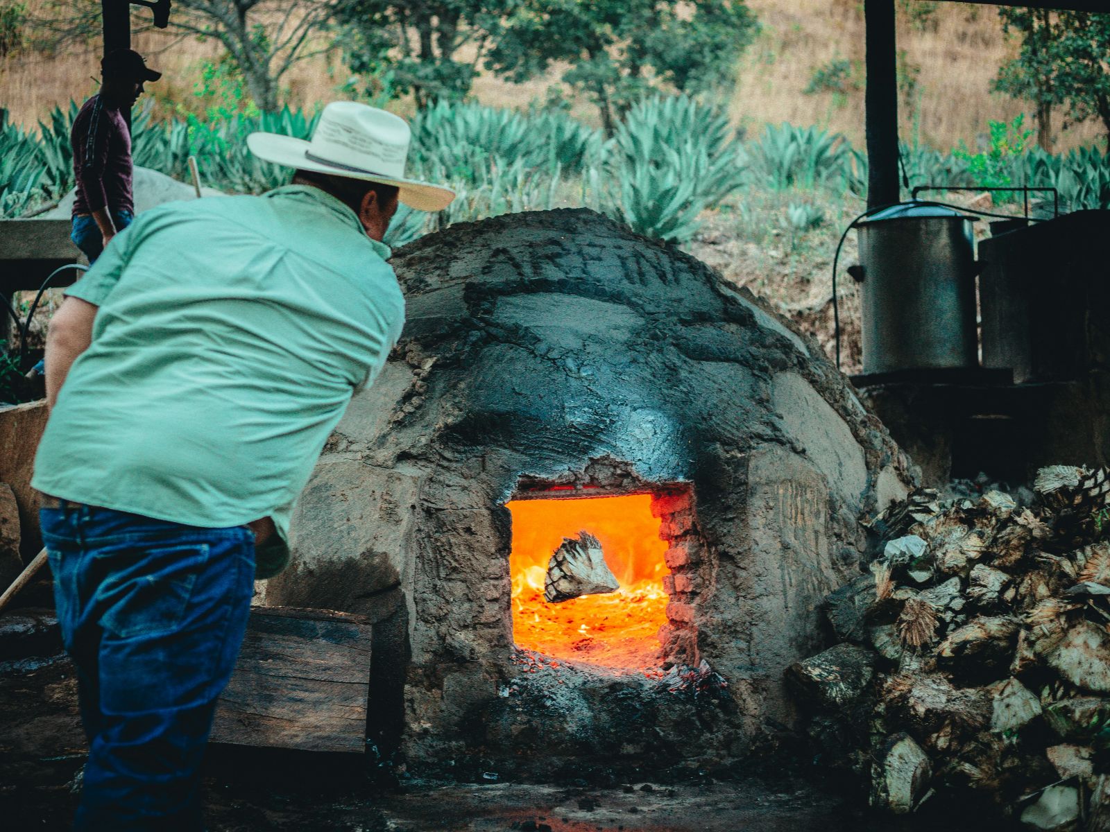 Rondreis Costa Rica, Cahuita, excursie Caribbean Cooking Tour, Steenoven