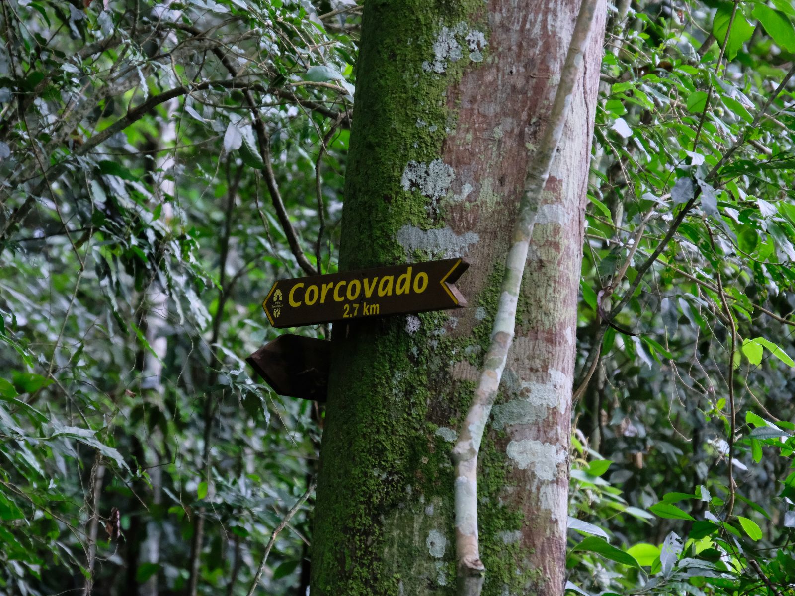 Rondreis Costa Rica, Drake Bay, Corcovado, Excursie Corcovado wandelen met een gids, bordje met Corcovado erop