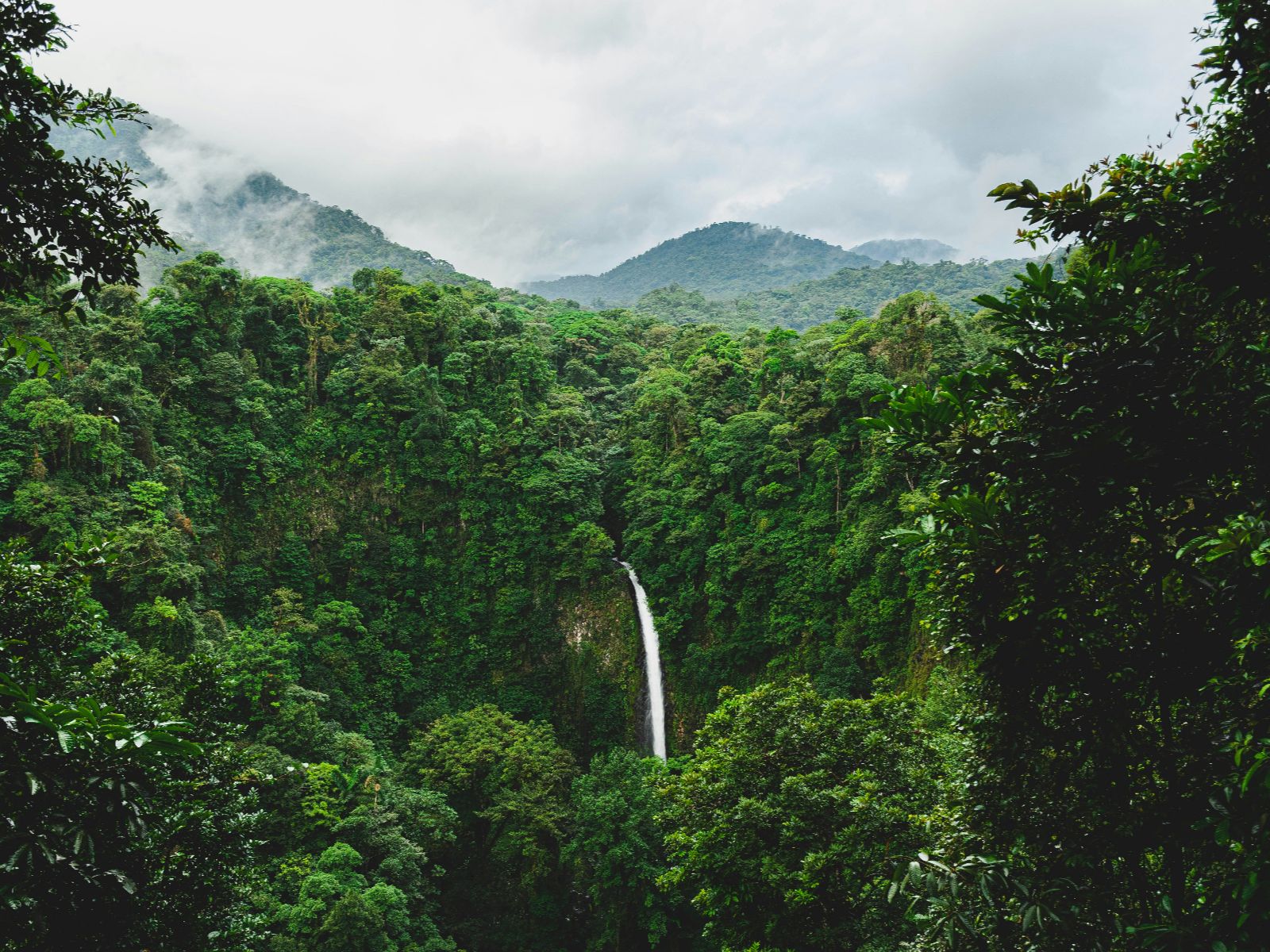 Rondreis Costa Rica, La Fortuna, excursie Te paard naar de waterval van La Fortuna, Waterval