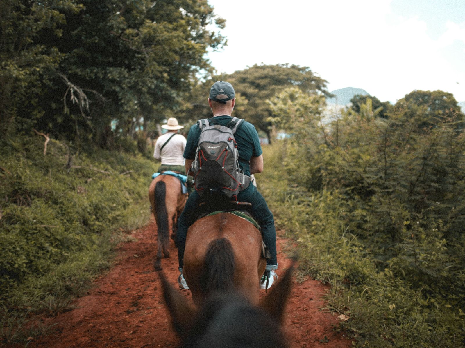 Rondreis Costa Rica, La Fortuna, excursie Te paard naar de waterval van La Fortuna, backpacker op een paard