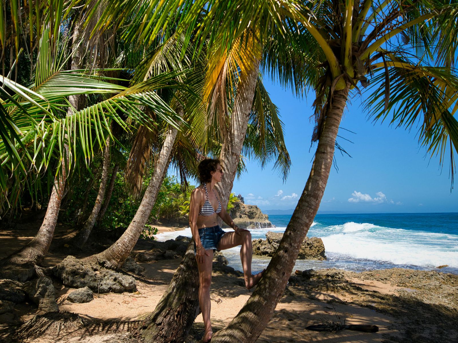 Rondreis Costa Rica, Puerto Viejo de Limon, Excursie Bri Bri Reserve tour, palmbomen bij het strand