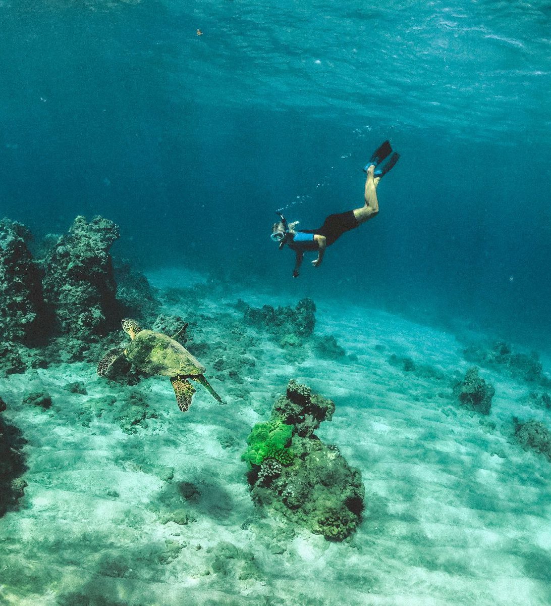 Rondreis Costa Rica, Sámara, excursie Zeekayakken en Snorkelen bij Isla Chora, duiker met schilpad