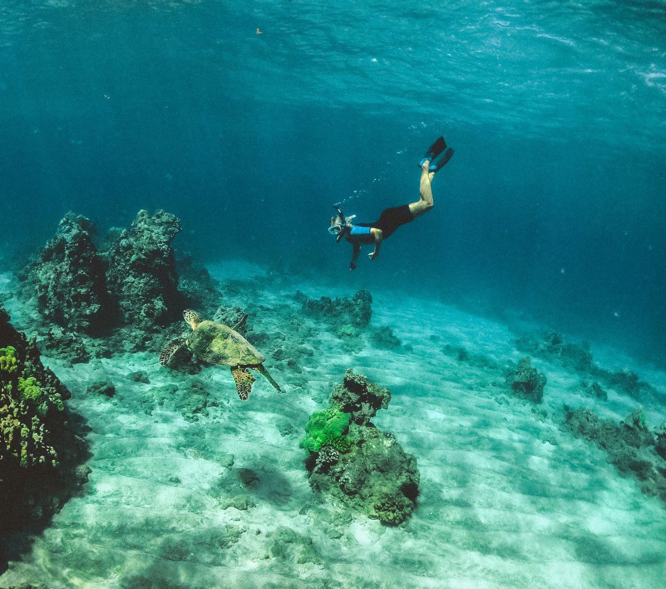 Rondreis Costa Rica, Sámara, excursie Zeekayakken en Snorkelen bij Isla Chora, duiker met schilpad