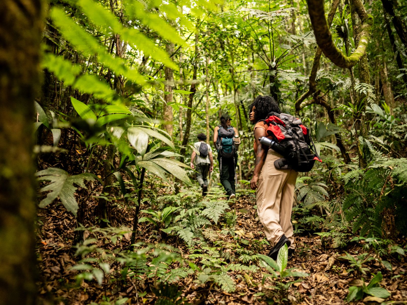 Rondreis Costa Rica, San Gerardo de Dota, Excursie Quetzel Tour, drie personen wandelend