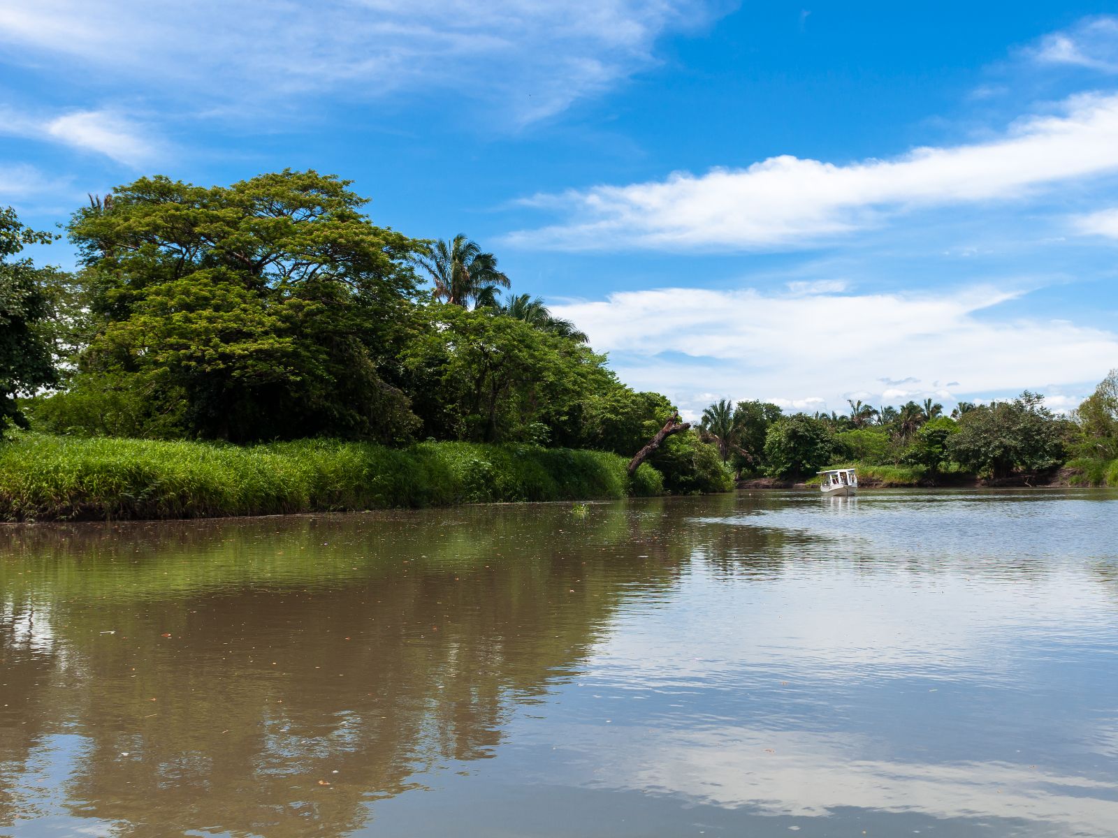 Rondreis Costa Rica, Sarapiquí, Excursie Boottocht op Sarapiquí-rivier, bootje in de verte op de rivier