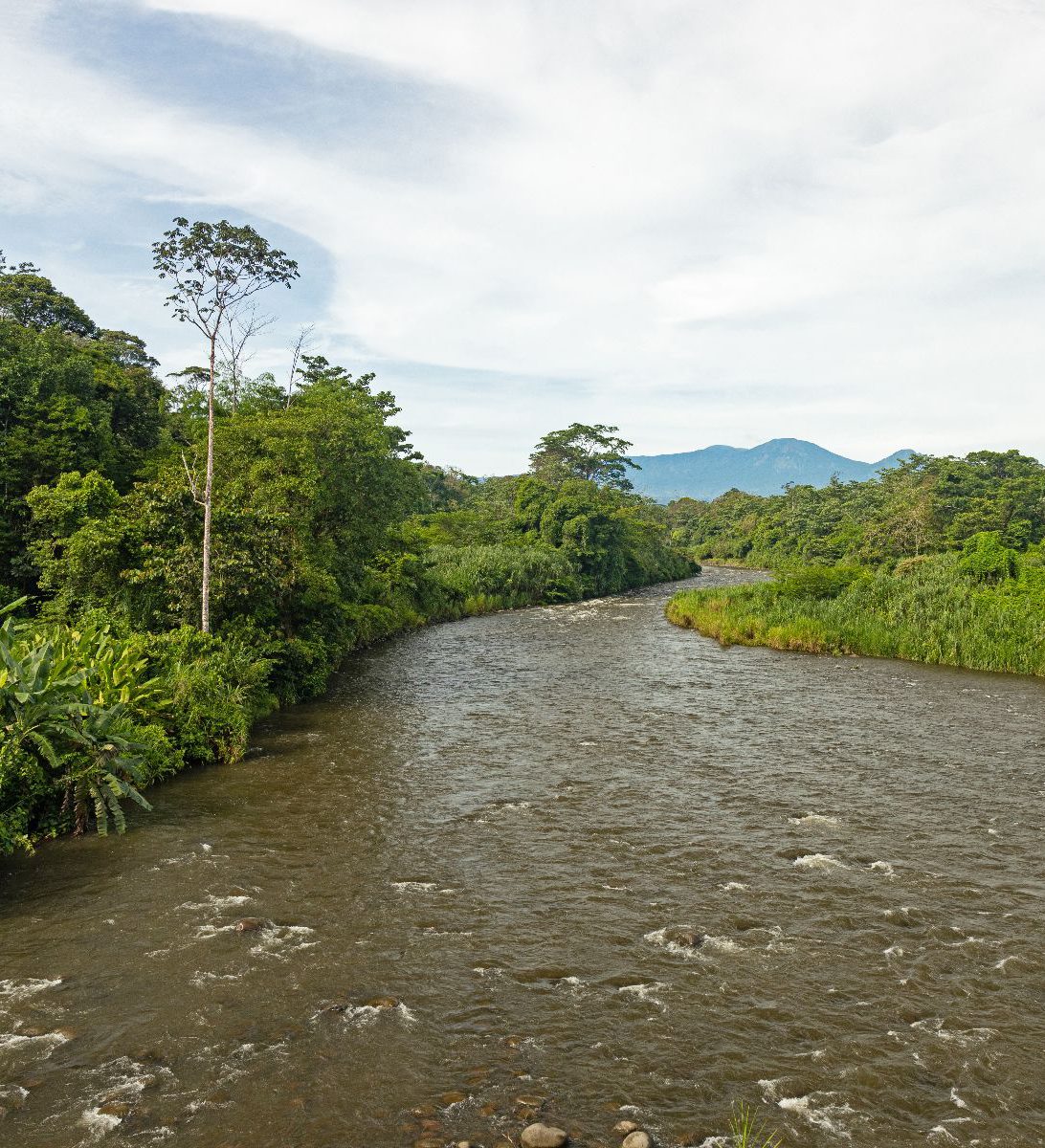Rondreis Costa Rica, Sarapiquí, Excursie Boottocht op Sarapiquí-rivier, de rivier