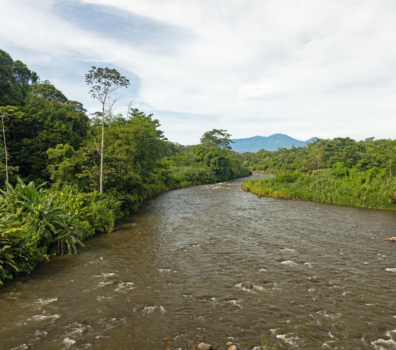 Rondreis Costa Rica, Sarapiquí, Excursie Boottocht op Sarapiquí-rivier, de rivier