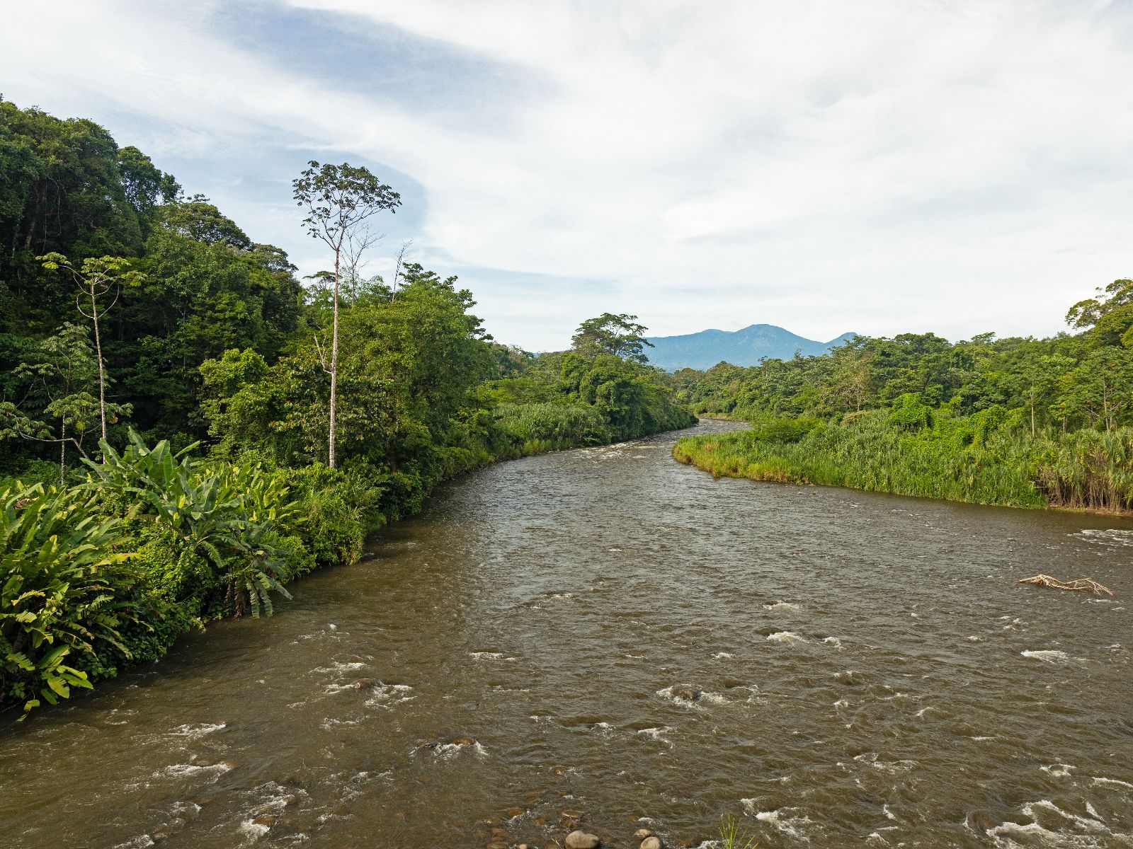 Rondreis Costa Rica, Sarapiquí, Excursie Boottocht op Sarapiquí-rivier, de rivier