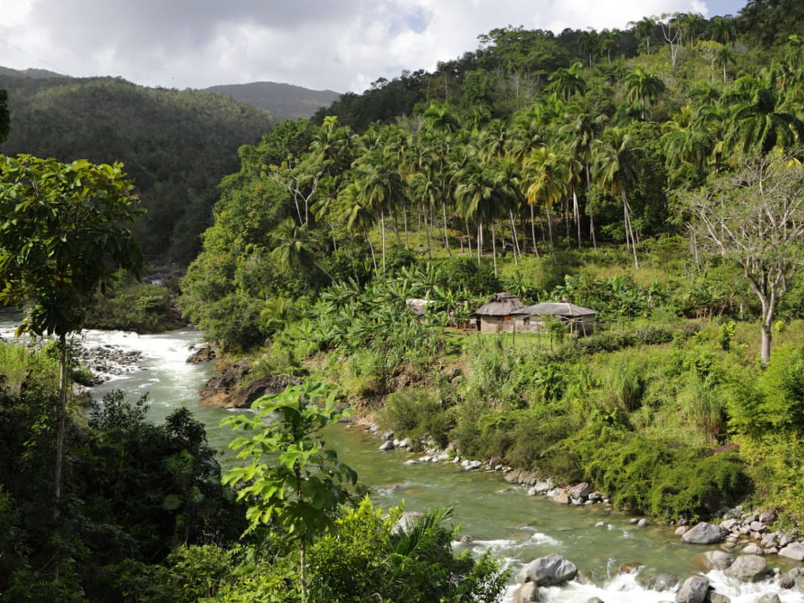 Rondreis Cuba, Baracoa, Hiken Cuchillas del Toa, rivier door het regenwoud