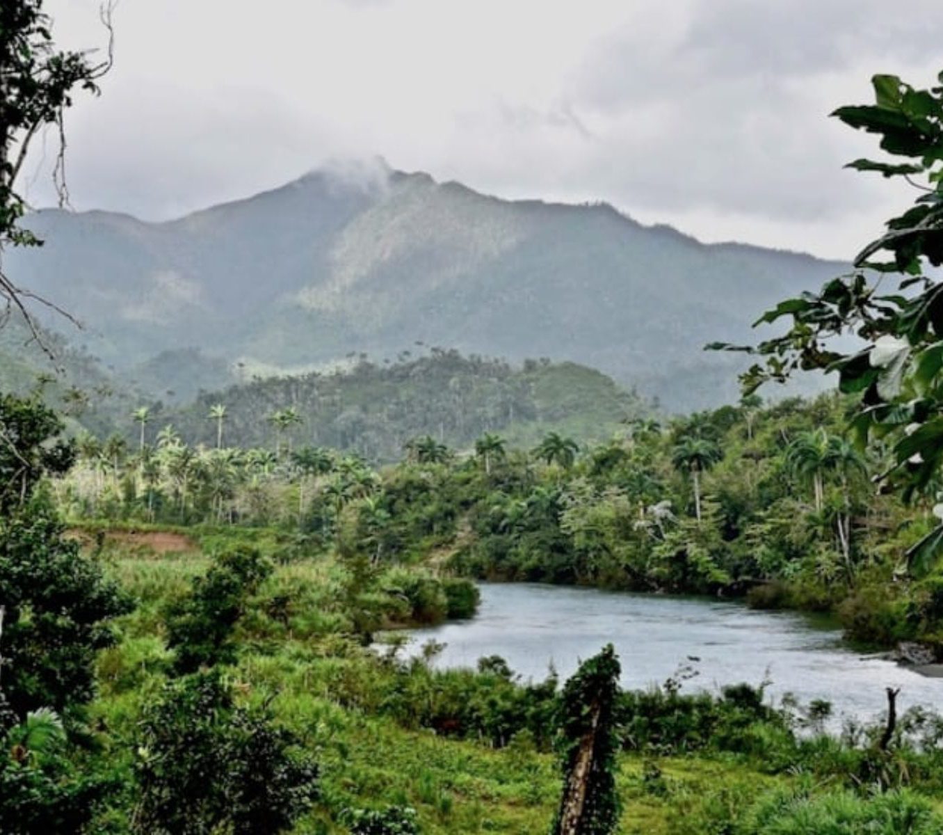 Rondreis Cuba, Baracoa, Hiken Cuchillas del Toa, rivier met berg op achtergrond