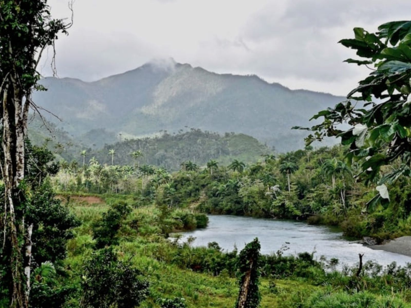 Rondreis Cuba, Baracoa, Hiken Cuchillas del Toa, rivier met berg op achtergrond