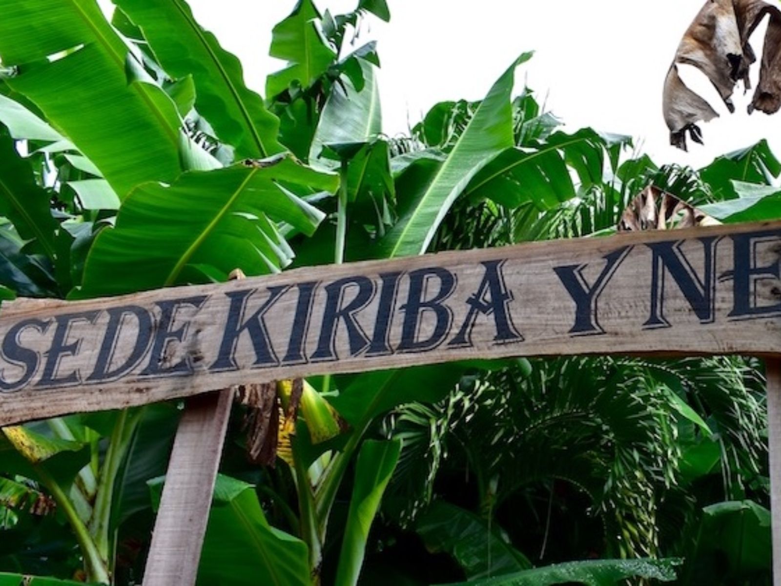Rondreis Cuba, Baracoa, cultuur en natuur in Boca de Yumuri, bord