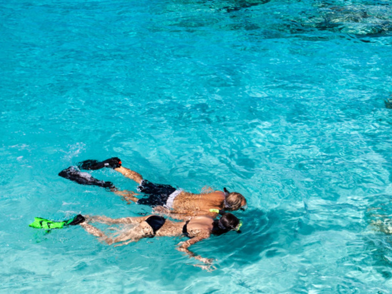 Rondreis Cuba, Playa Larga, excursie snorkelavontuur rond Playa Larga, snorkelaar