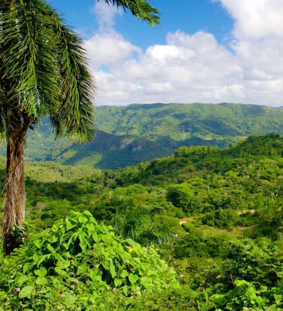 Rondreis Cuba, Trinidad, excursie Hiken bij Topes de Collantes, uitzicht over Topes de Collantes