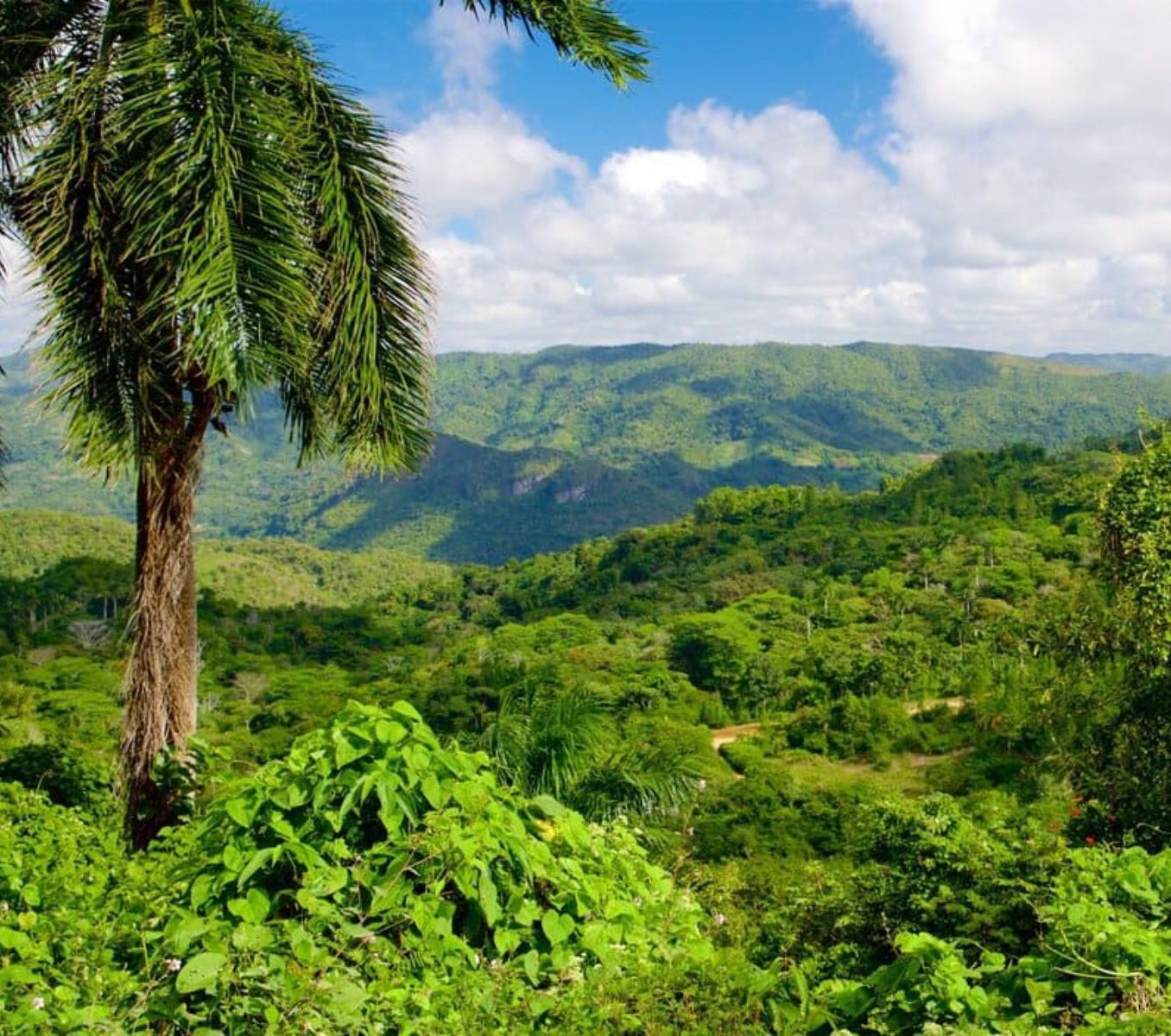 Rondreis Cuba, Trinidad, excursie Hiken bij Topes de Collantes, uitzicht over Topes de Collantes