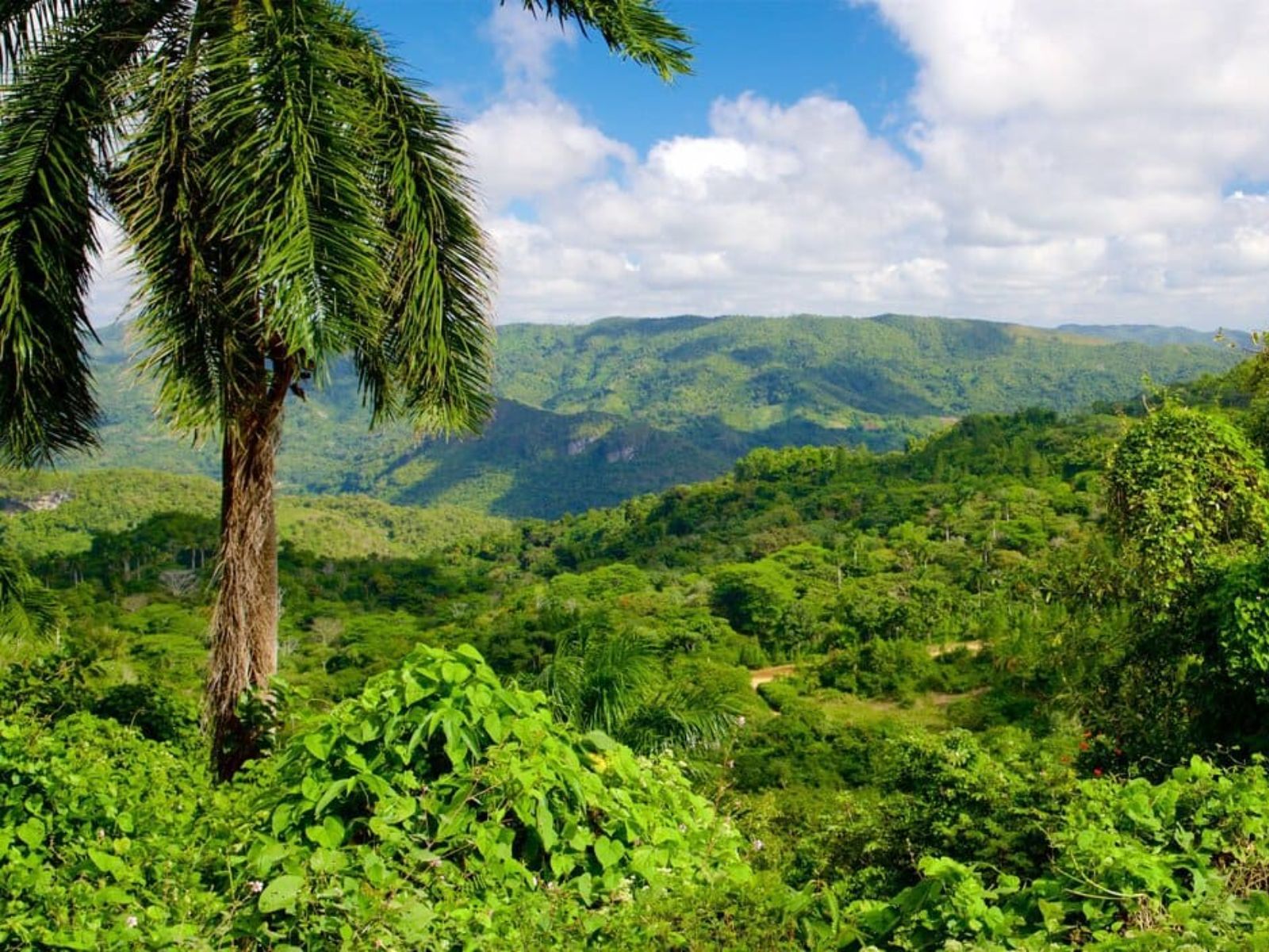 Rondreis Cuba, Trinidad, excursie Hiken bij Topes de Collantes, uitzicht over Topes de Collantes
