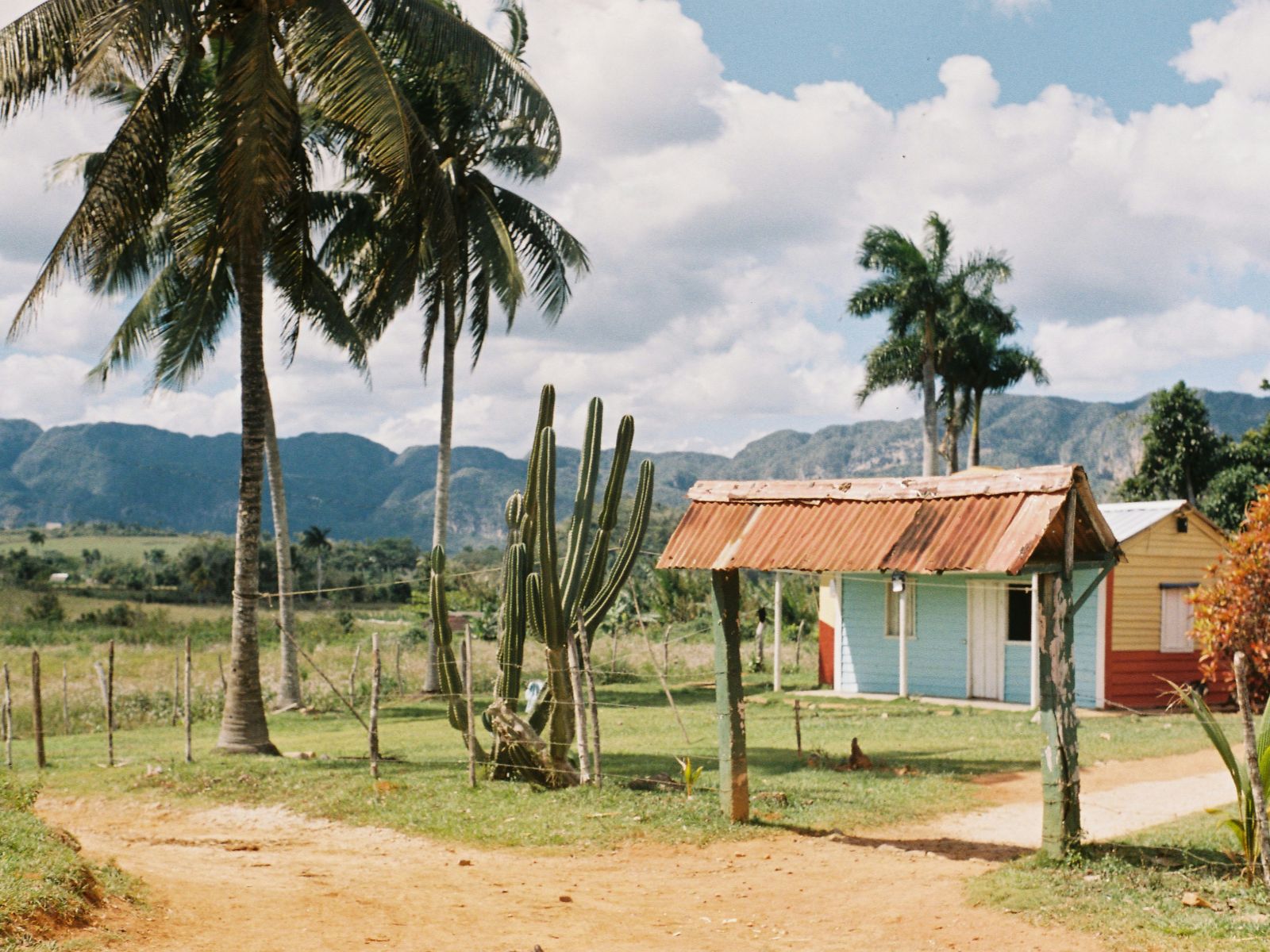 Rondreis Cuba, Viñales, Fietstour door de Viñales Vallei, huisje met palmboom