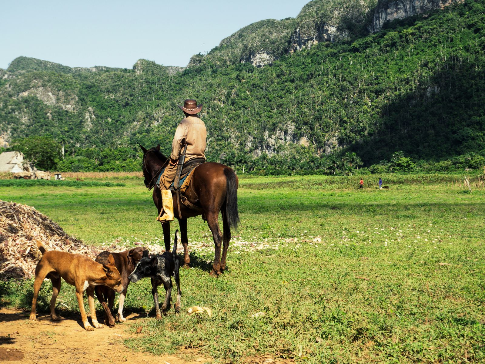 Rondreis Cuba, Viñales, Fietstour door de Viñales Vallei, man te paard in vallei