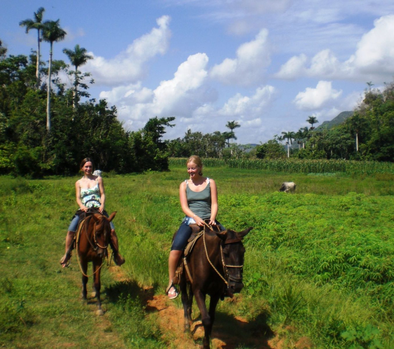 Rondreis Cuba, Viñales, Paardrijden door de Viñales Vallei, paardrijden door de vallei