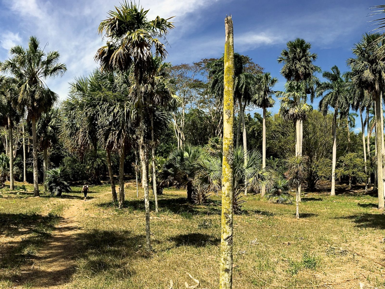 Rondreis Cuba, Viñales, Wandeltour door de Viñales Vallei, wandelpad