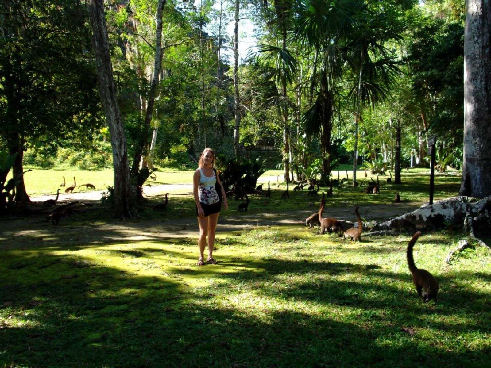 Rondreis Guatemala, Flores, excursie zonsopkomst in Tikal, Joanne